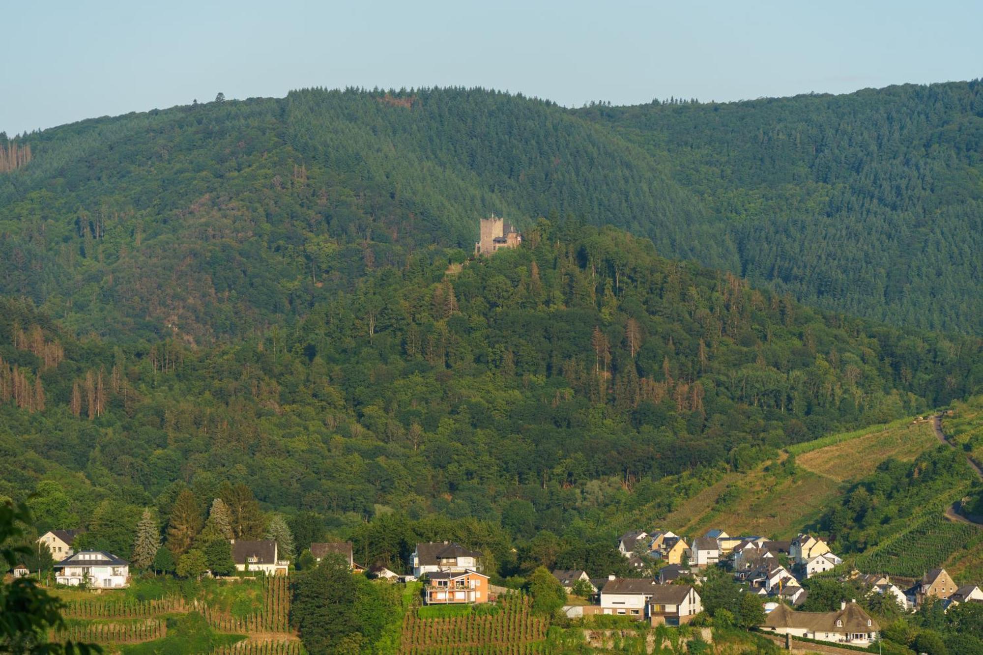 Ferienwohnung Auf Sarret 불라이 외부 사진